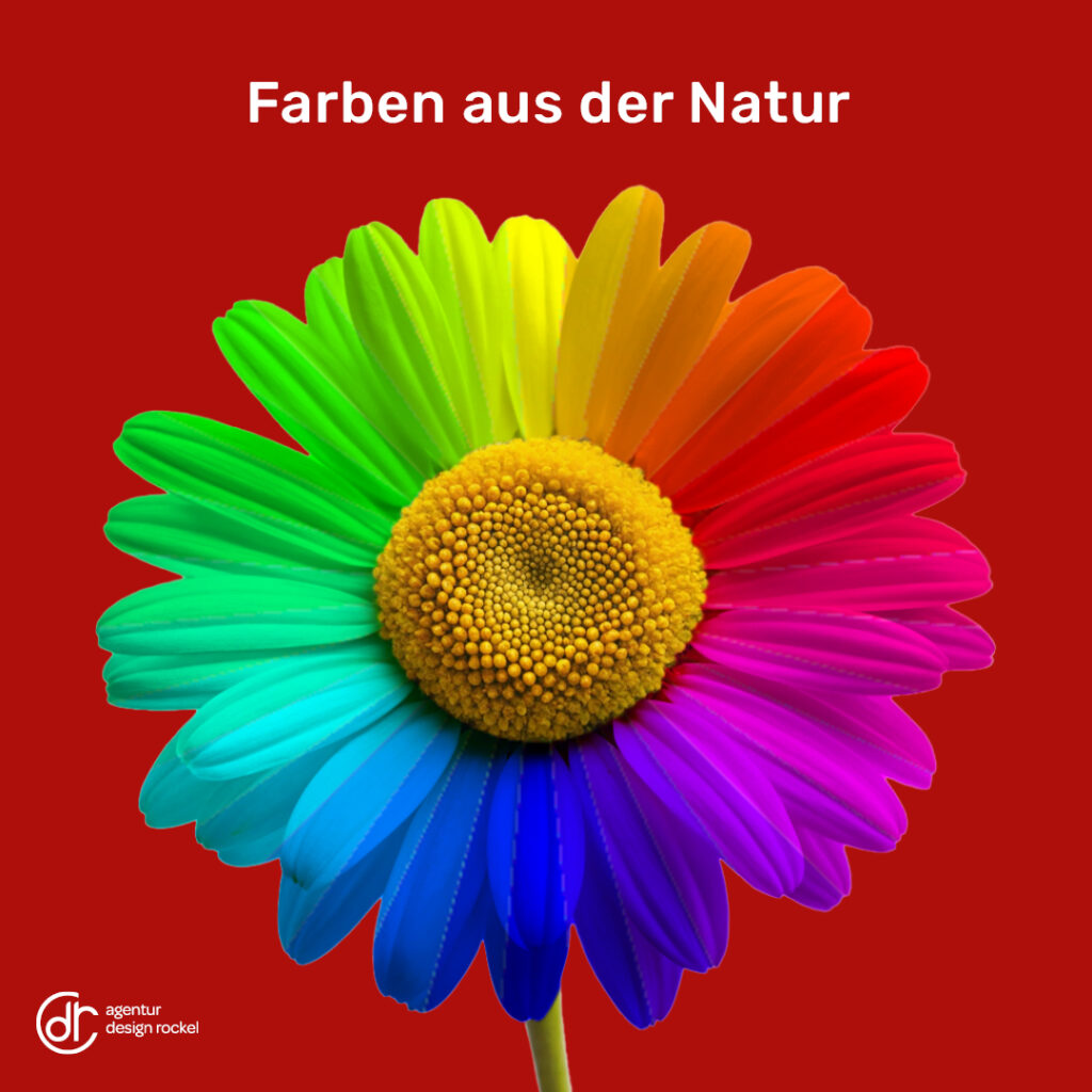 Farben-aus-der-Natur-DesignRockel